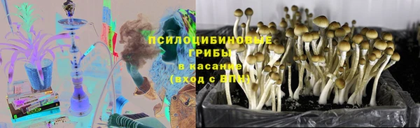 прущие крисы Арсеньев