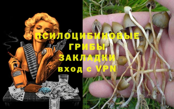 прущие крисы Арсеньев